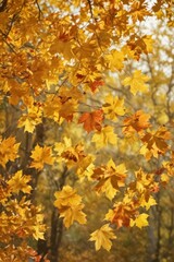 Autumn leaves swirling down, golden hues against blurred background, garden, fall
