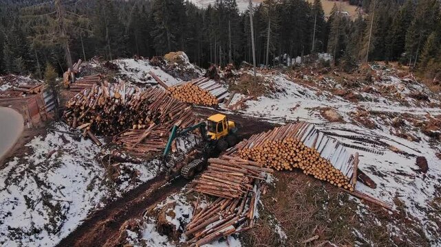Efficient logging operations in snowcovered forest with heavy machinery, timber truck work.