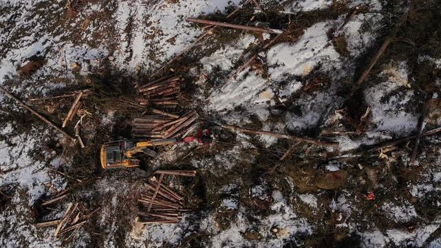 Aerial view of timber truck, logging excavator operating in snowcovered forest.
