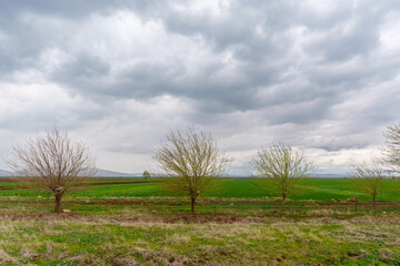 Scenic View of Green Fields Underneath Overcast Skies with Sparse Young Trees..