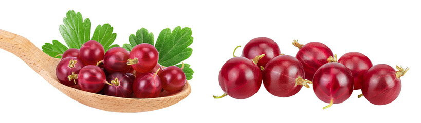 Red gooseberry in wooden spoon isolated on white background with full depth of field.
