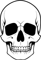 Obraz premium skull on black