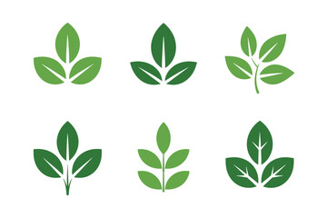 Green leaf vector set nature organic plant icons
