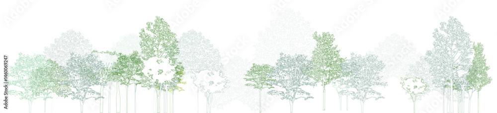 Poster architectural drawings, minimal style cad tree line drawing, side view, set of section wetland fores