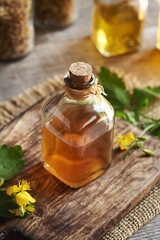 A bottle of tetterwort herbal tincture on a wooden table