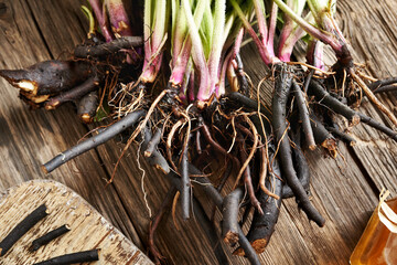 Comfrey or Symphytum root on a wooden table