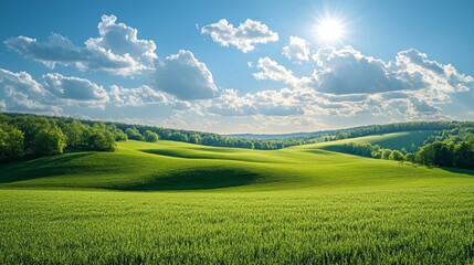 Fototapeta premium Rolling fields stretch under a bright blue sky in a peaceful countryside landscape during a sunny day