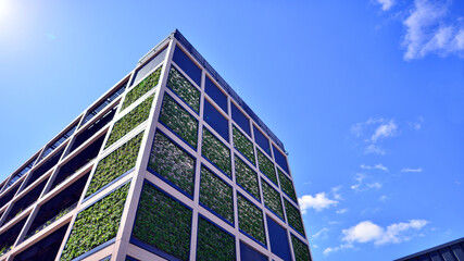 Green office building with plants on the facade. Ecology and green living in city, urban environment concept. Eco architecture. 