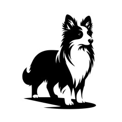 Elegant Black and White Border Collie Illustration