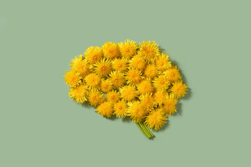 Dandelion flowers arranged in shape of human brain