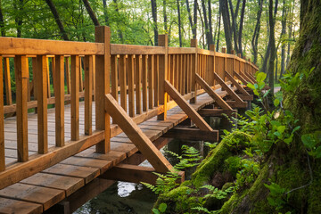 Obraz premium Wooden bridge crossing a stream in a lush green forest moss covered rocks and dappled sunlight create a serene woodland scene