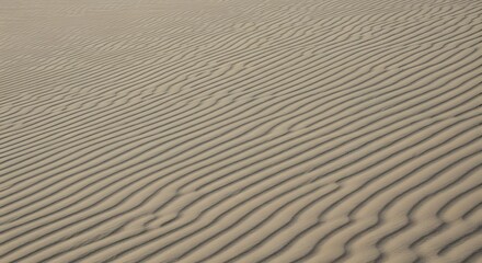 Obraz premium Wind-blown desert sand pattern