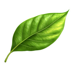 Obraz premium Detailed illustration of a vibrant green leaf with prominent veins on a transparent background Concept of nature, growth, and organic beauty
