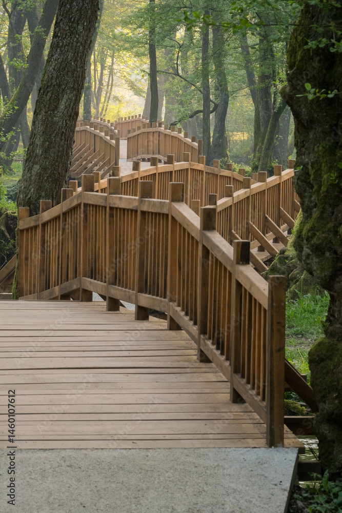 Poster wooden bridge winding through a forest capturing a serene and natural pathway green trees line the p