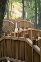Naklejka premium Elevated wooden walkway through forest A peaceful scene showing the path through a natural landscape