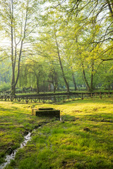 Lush green park with trees grass waterway and a wooden fence Sunlight filters through the trees creating a peaceful natural setting