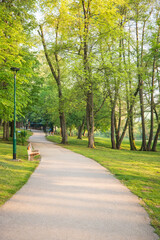 Serene Pathway: A peaceful park scene with a winding path lush trees and a bench Perfect for a calming escape into nature's beauty