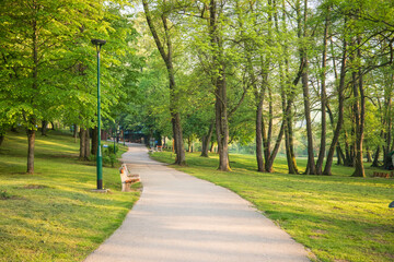 Pathway through a serene park with lush green trees and grass illuminated by the soft glow of...