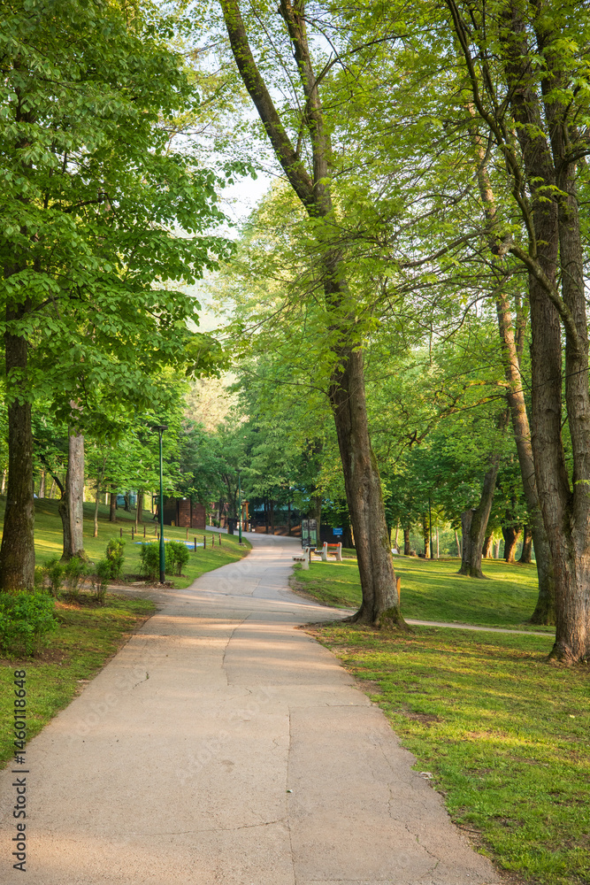 Poster pathway through a verdant park surrounded by lush trees and greenery leading towards a building in t