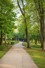 Pathway through a verdant park surrounded by lush trees and greenery leading towards a building in the distance