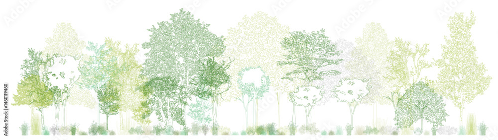 Poster architectural drawings, minimal style cad tree line drawing, side view, set of section wildlife fore