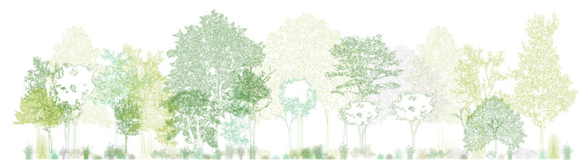 Architectural Drawings, Minimal style cad tree line drawing, Side view, set of section wildlife forest outline symbol for landscape design drawing. Vector illustration in stroke fill in white.