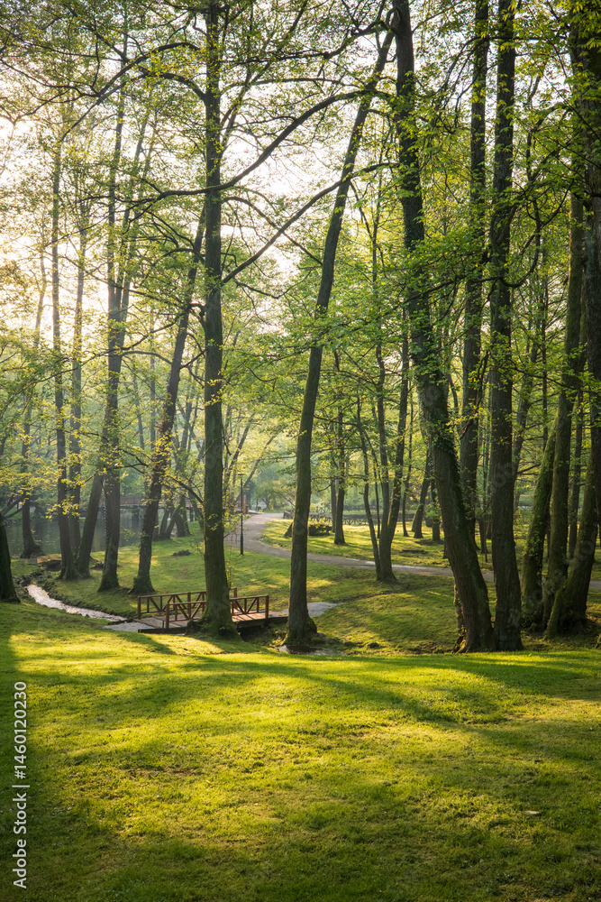 Poster a serene view through sun dappled trees in a tranquil forest with a small wooden bridge over a gentl