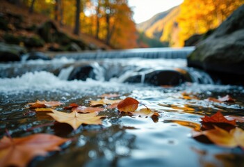Tranquil autumn river scene with colorful fallen leaves floating on clear water
