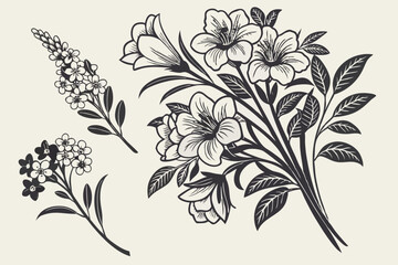 86 Vintage floral illustrations, black and white flower bouquets, detailed botanical drawings, Victorian style flower arrangements, monochrome engraved florals, hand-drawn botanical art, symmetrical f