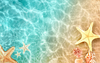 Starfish and seashells on the summer beach in sea water. Summer blue ocean background. Summer time
