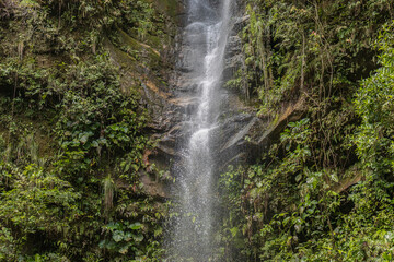 Waterfalls in the city of Tarapoto in Peru, a tourist spot in the Peruvian jungle