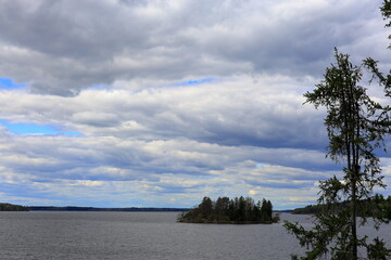 Trees and lake Mälaren during late spring. May 2025. Upplands Bro, Stockholm, Sweden.
