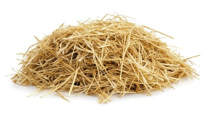 Pile of straw.  A sizable mound of dried, light golden straw, close-up against a plain white background.  The straw strands are tightly interwoven, exhibiting a natural texture