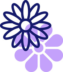 daisy illustration on a white background    