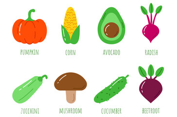 Vegetables, ingredient. Simple style, flat icons set. Pumpkin, corn, avocado, radish. Zucchini, mushroom, cucumber, beetroot. Ingredients set collection. Vector illustration
