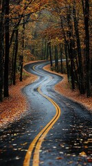 Obraz premium Winding road through vibrant autumn foliage, showcasing nature's beauty and seasonal change.