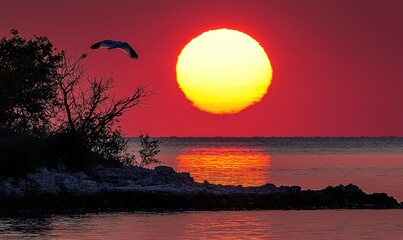 Obraz premium Sunset over calm water, a bird in flight silhouetted against the vibrant red and orange sky. The sun's reflection shimmers on the water's surface