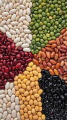 Kidney beans in white, red, yellow, orange, and black sorted in sections