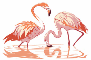 Fototapeta premium Two Elegant Flamingos in a Calm Water Reflection