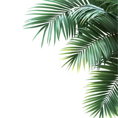 Lush Green Palm Fronds Tropical Leaves Nature Background