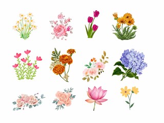 set of pink wild roses, wildflowers for wedding invitation, fabric, stationary and wall paper isolated on white background.