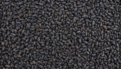 A mound of dark grey sunflower seeds, some shells visible , grain, item
