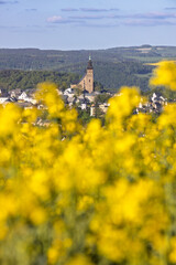 frühlingshafter Blick auf die Bergstadt Schneeberg im Erzgebirge
