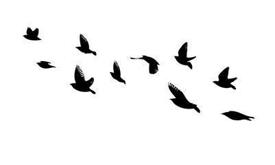 Flying birds silhouette flock. hand drawing. Not AI. Vector illustration