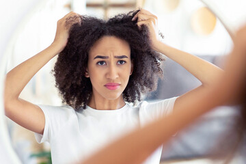 Fototapeta premium Problems with hairstyle, dry and brittle hair. Frustrated young african american female disappointed with haircut, touches to curly hair and looking at reflection in round mirror at home, copy space