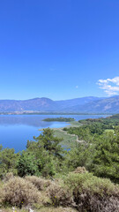 view of the lake, vertical Shot