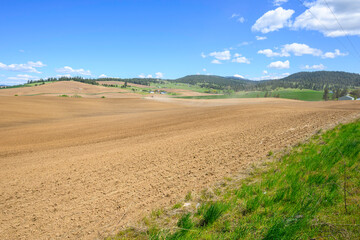 The rural agricultural farmland and fields in the rolling hills of Freeman, Washington State, a small rural community in Spokane County.