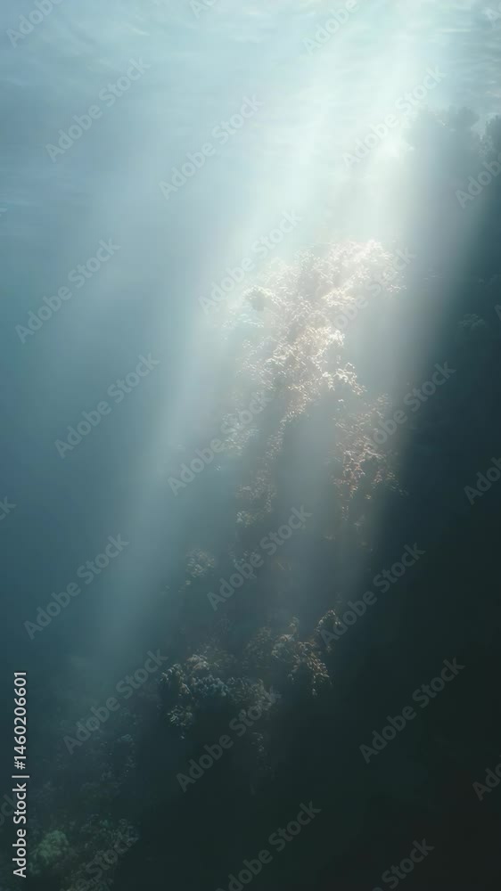 Poster underwater sunlight pierces through the ocean's surface, illuminating coral reef with diffused light