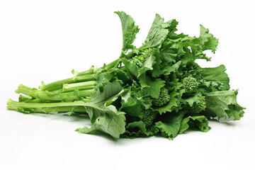 Fresh Broccoli Rabe on white background