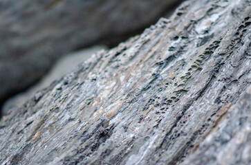 Detailed rocky texture showcasing layers of weathered stone, perfect for nature backgrounds or geology concepts. High-resolution macro shot with natural colors.